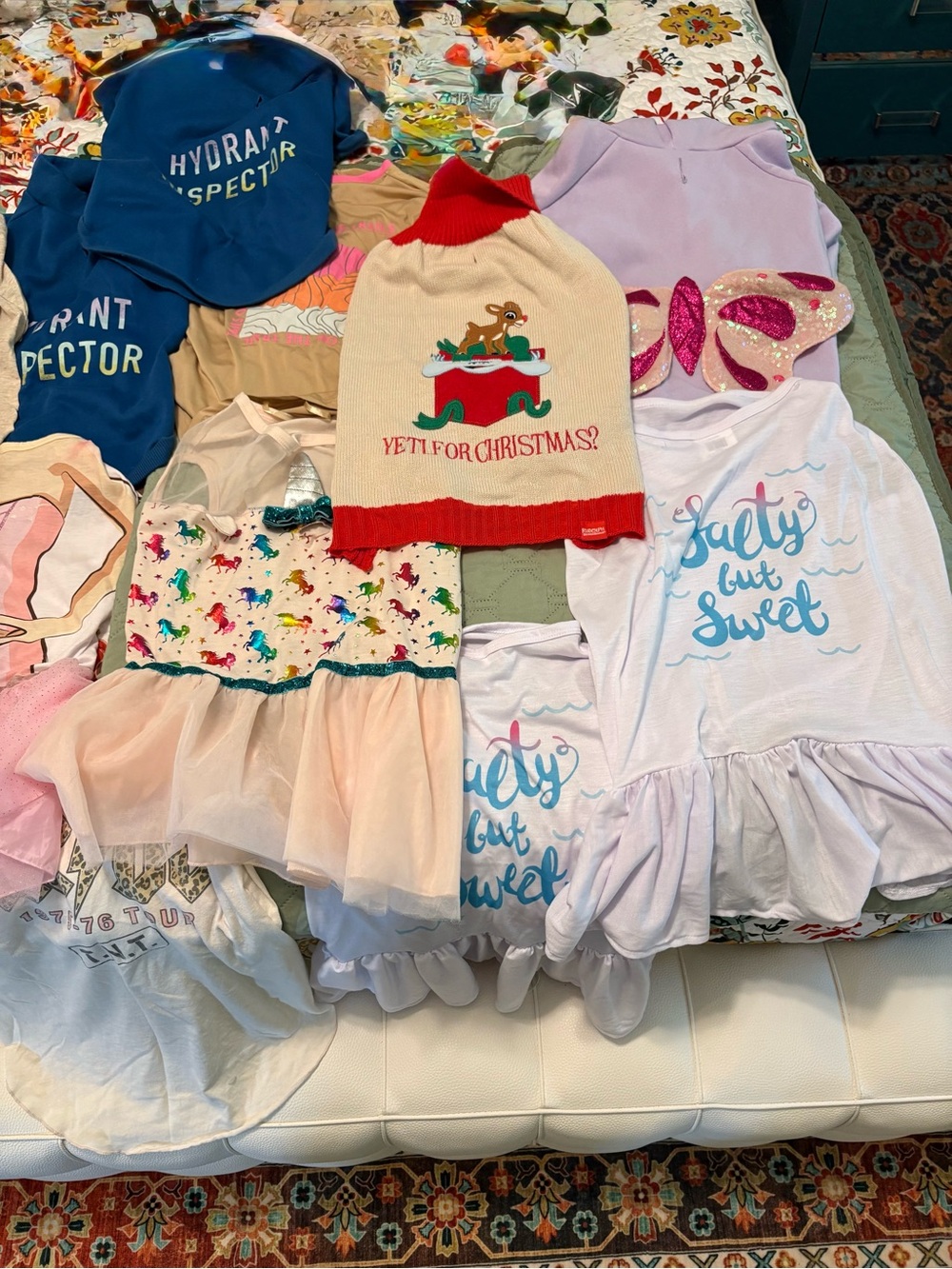 Lot of 14 size, large and extra large, cute dog shirts, dresses, and sweaters.